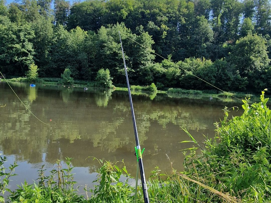 Rückershäuser Teich angeln
