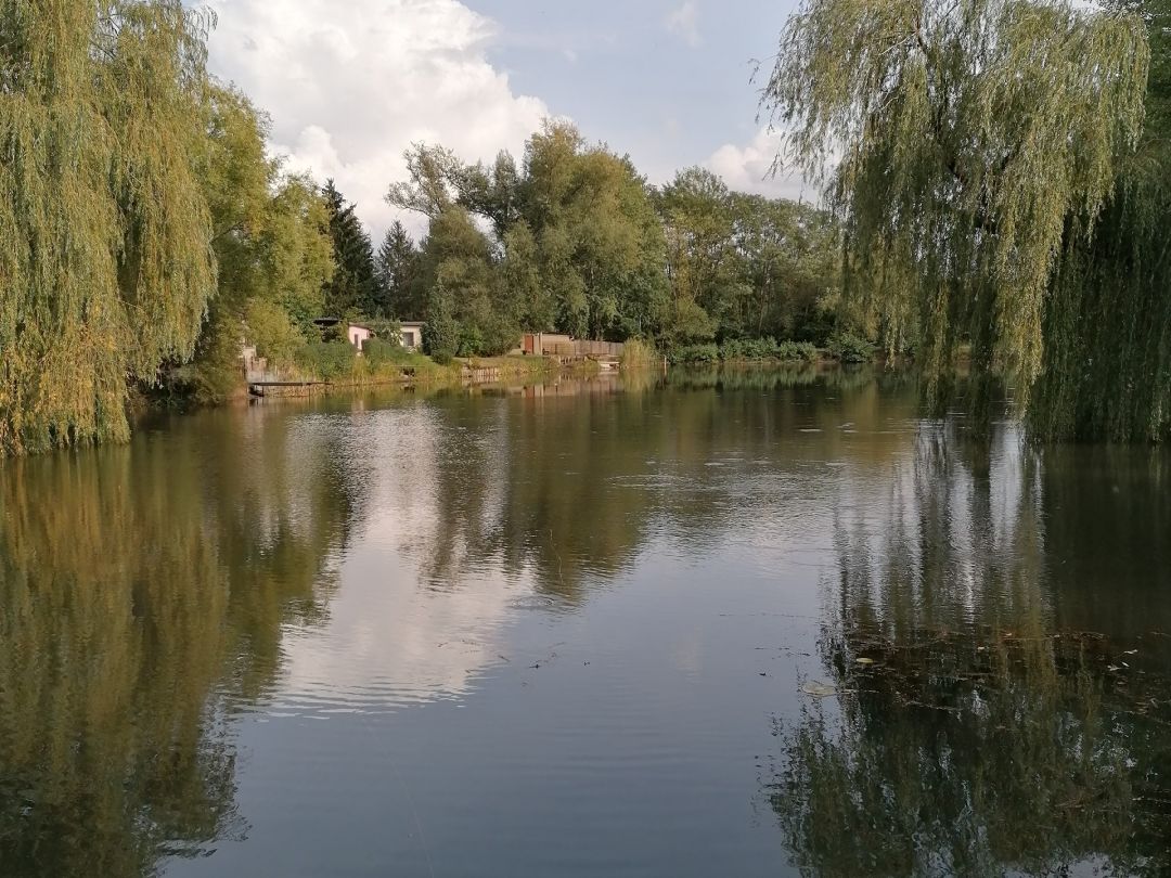 Totenteich (Weißwasser/Oberlausitz) angeln