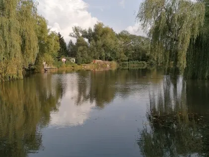 Totenteich (Weißwasser/Oberlausitz)