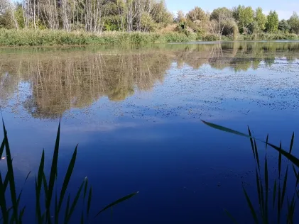 Betonwerkteich I (Gröbzig)