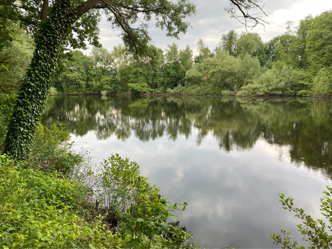 Silbersee (Oldenburg) angeln