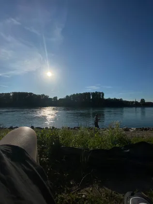 Rhein (Dettenheim)