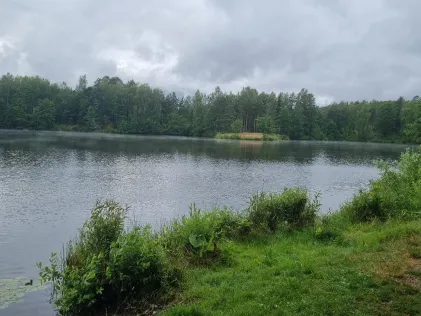 Gmünder Weiher (Grafenwöhr)