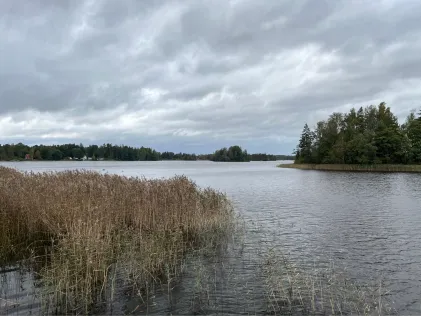 Hönshyltefjorden