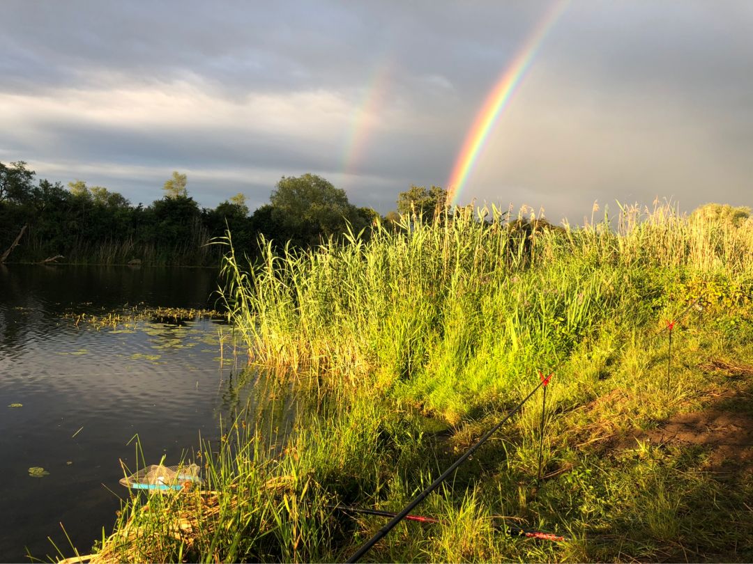 Angeln in Schönebeck (Elbe)