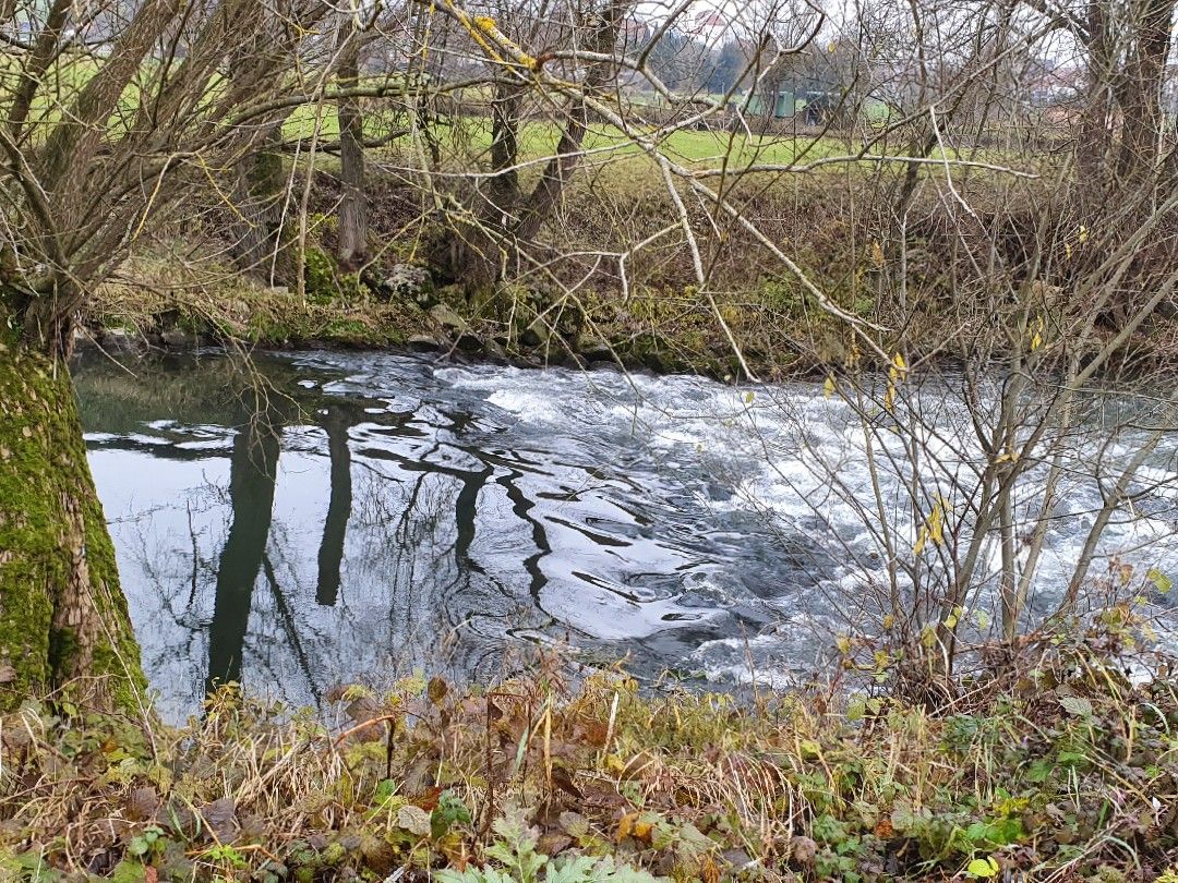 Günz (Waldstetten) angeln