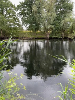 Alter Werrearm (Löhne)