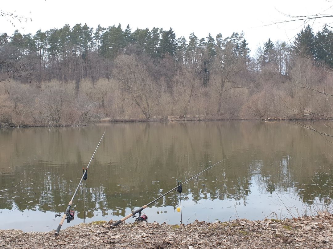 Fröschauer Weiher angeln