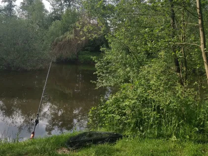 Vereinsteich Lorse ASV Holdorf