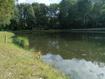 Angelteich Niestedt