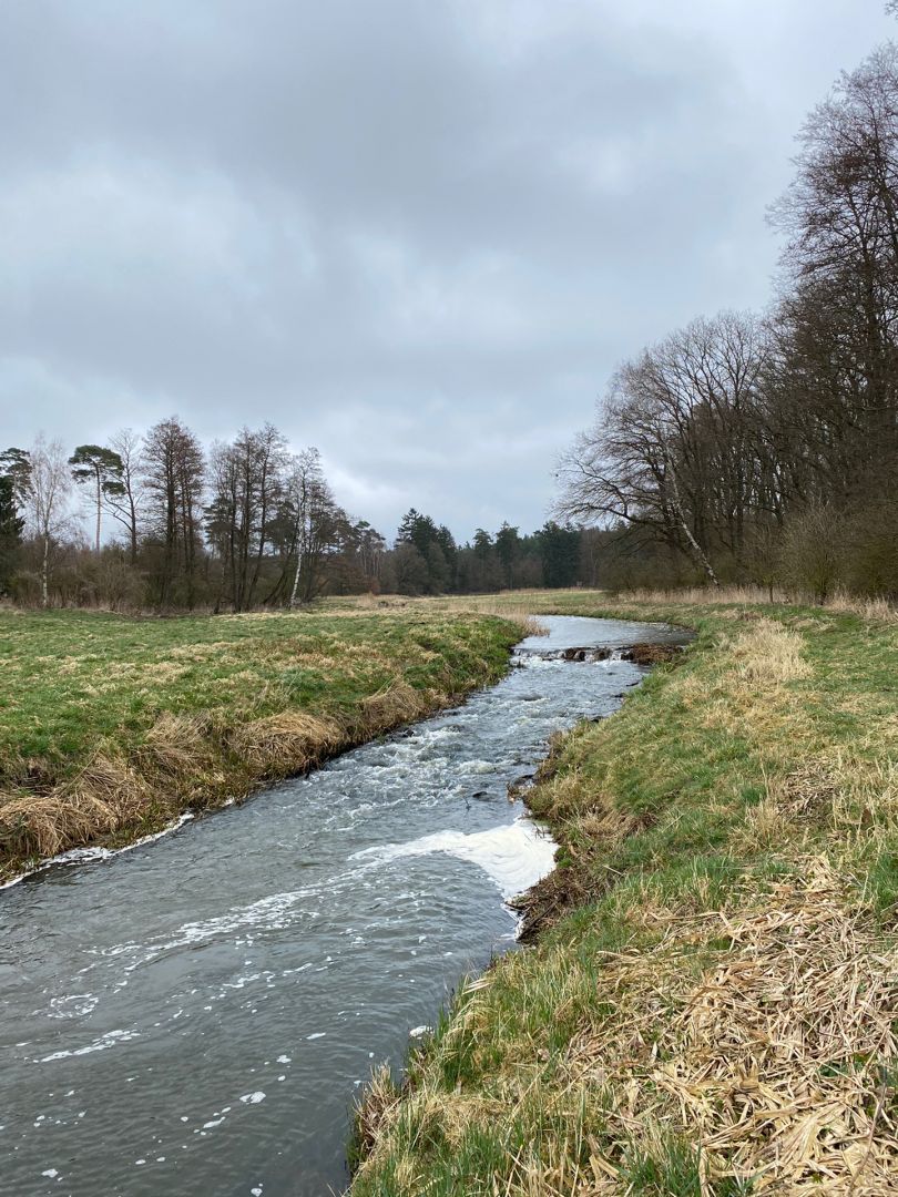 Warnow (Demen) angeln