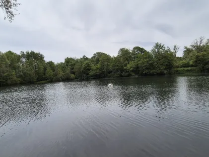 Moselweiher (Wellenstein)