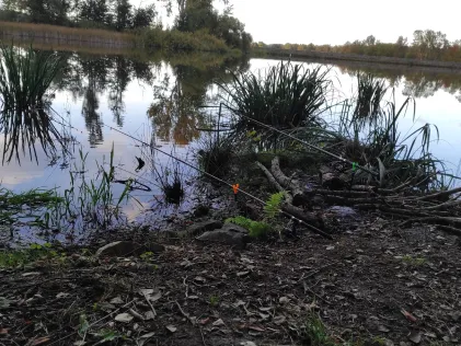 Hüttenteich (Brand-Erbisdorf)