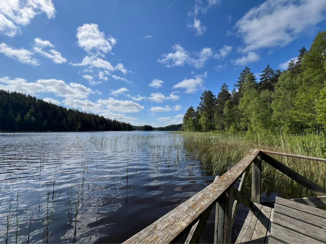Vagnsjön (ÖStergötland) angeln