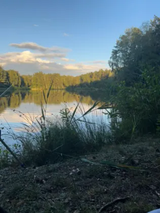 Modlerweiher