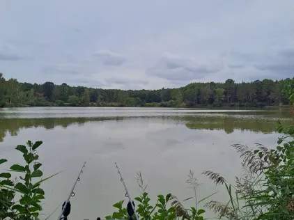 Breiter Weiher (Höchstadt)