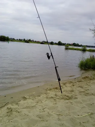 Elbe (Drage)