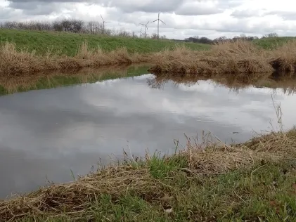Lager Hase (Gut Lage)