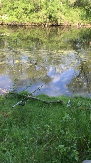 Tuchbleichsee (Unterensingen)