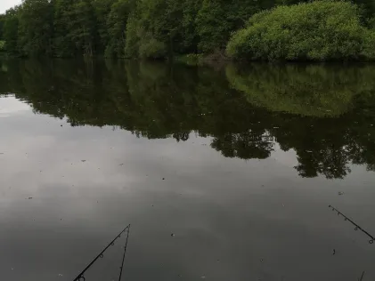 Fischbacher Teich