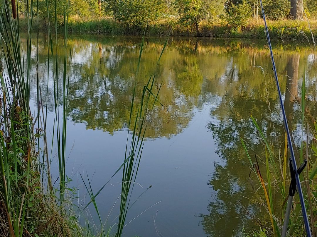 Schenkteich (Zweimen) angeln