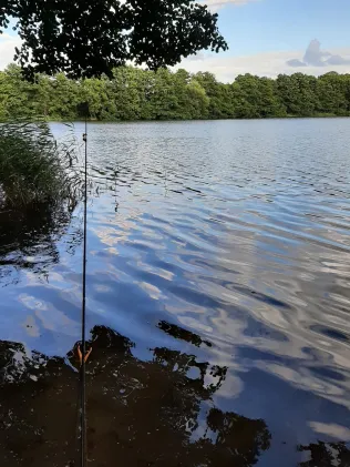 Gaarzer See (Plau)