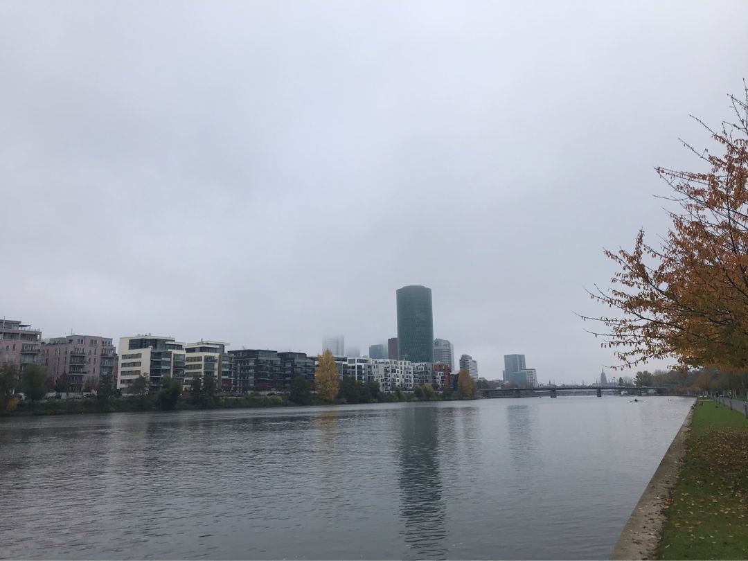 Main (Frankfurt) angeln