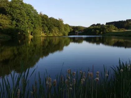 Stausee Willwerath