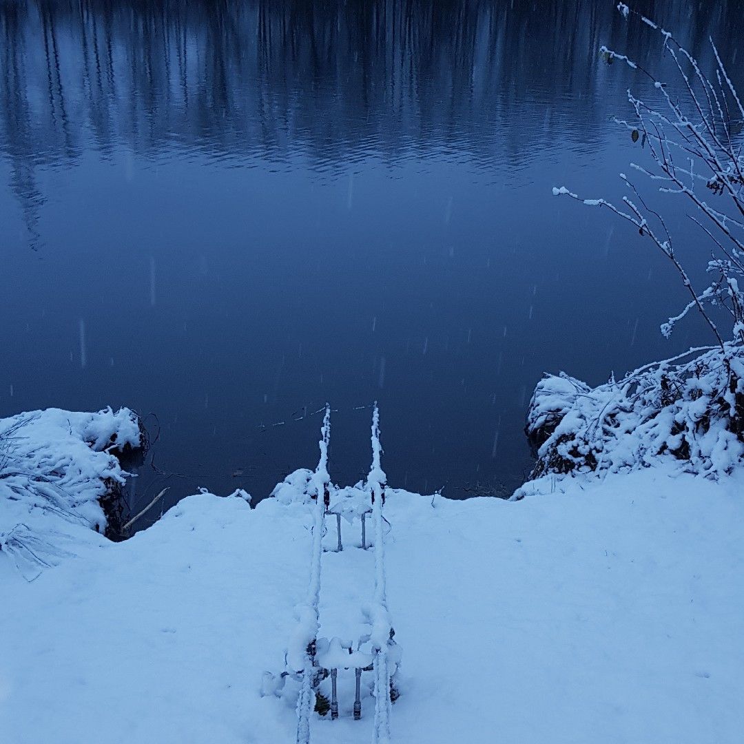 Rauhenzeller See angeln