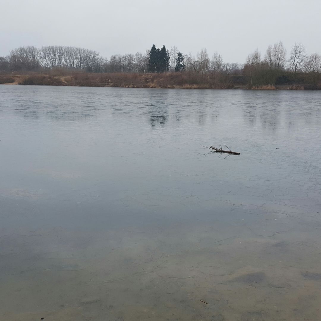 Krietfeldsee angeln