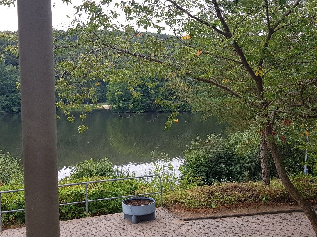 Ibrastausee (Seepark - Kirchheim) angeln