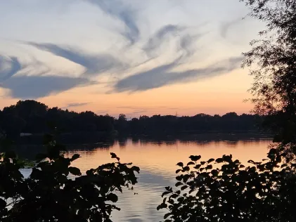 Großer Moorsee (Meckelfeld)