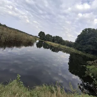 Alte Elde (Eldena)