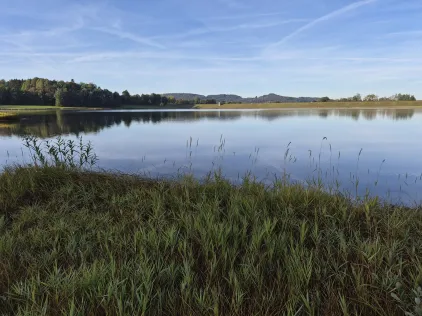 Perlsee (Waldmünchen)