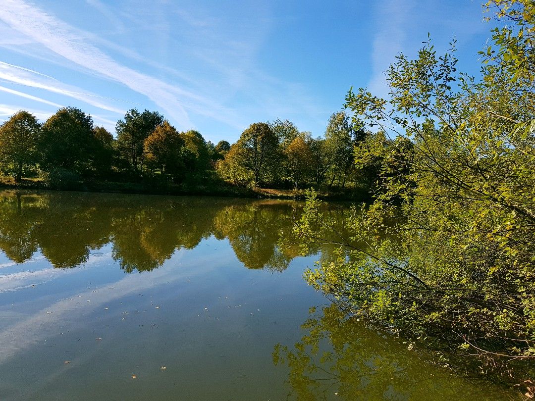 Haunestausee angeln