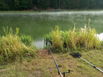 Haunestausee