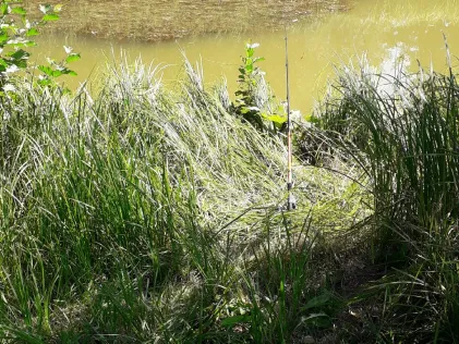 Goldberger See (Goldberg)