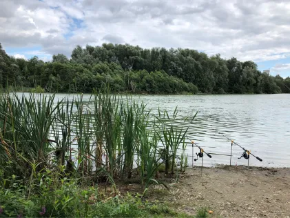 Richrather See (Baggersee Frisch)