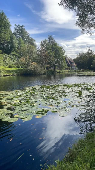 Sportplatzteich Schleusingen