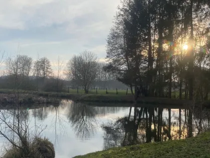Teich Langenapel