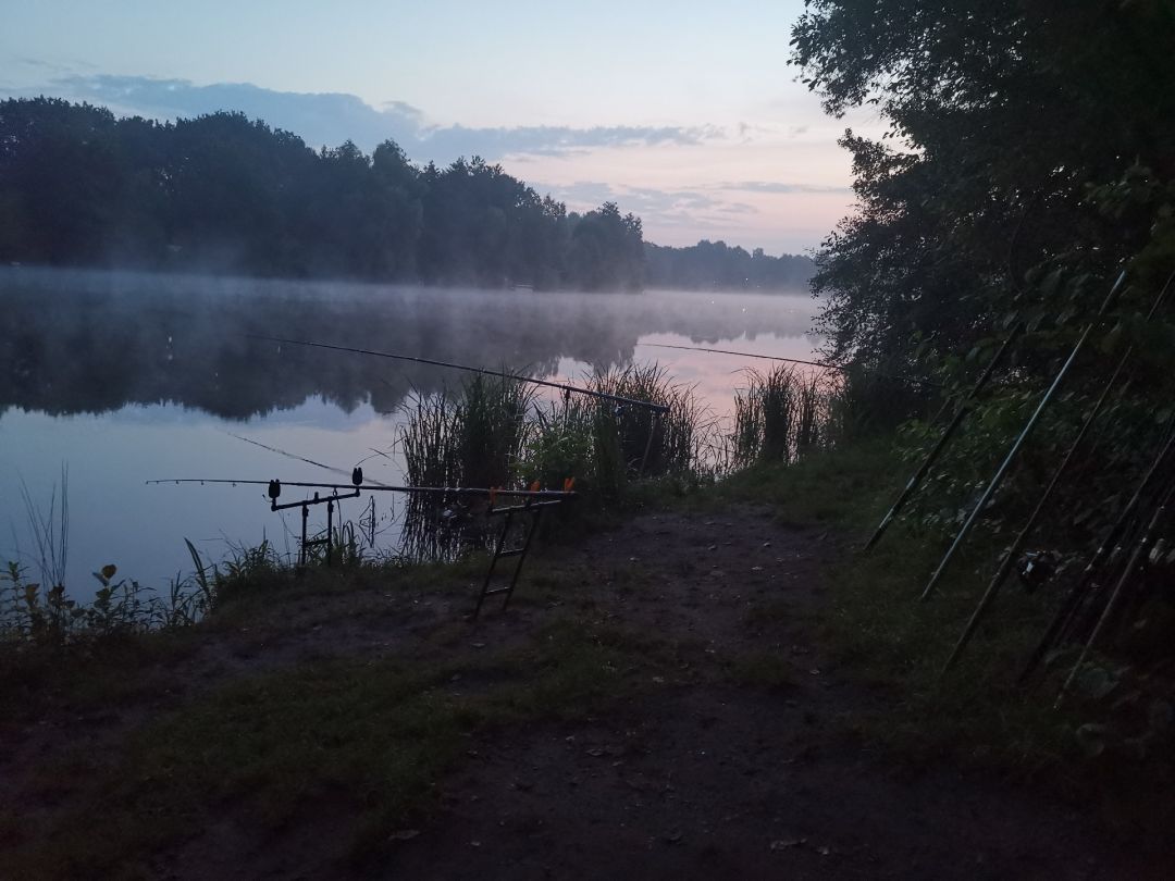 Parkteich Verries (Hövelhof) angeln