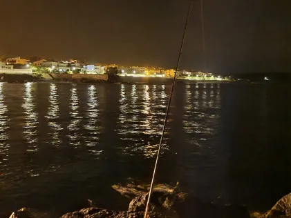 Badia d'Alcudia