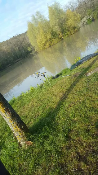 Wolfsee (Markt Bibart)