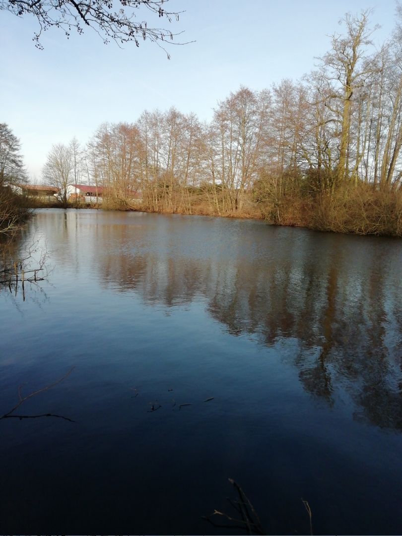 Weiher Wietmarschen angeln