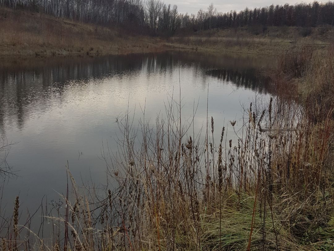 Heidesee (Falkenhain) angeln