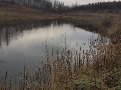 Heidesee (Falkenhain)