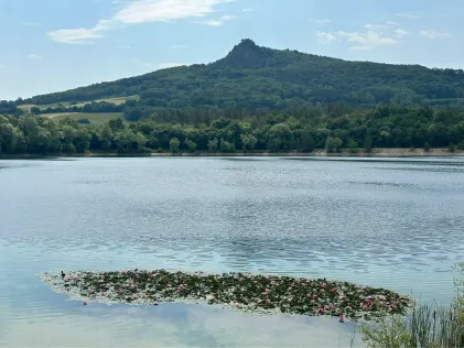 Binninger See