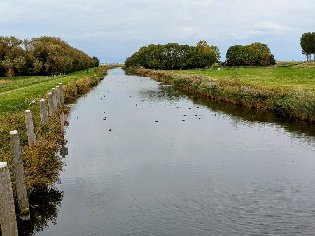 Haven van Dirksland angeln