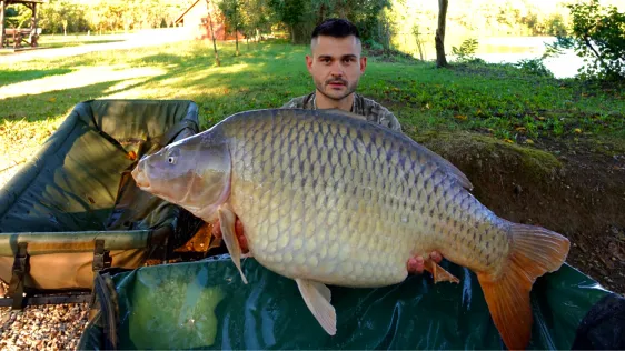Donji Žabar