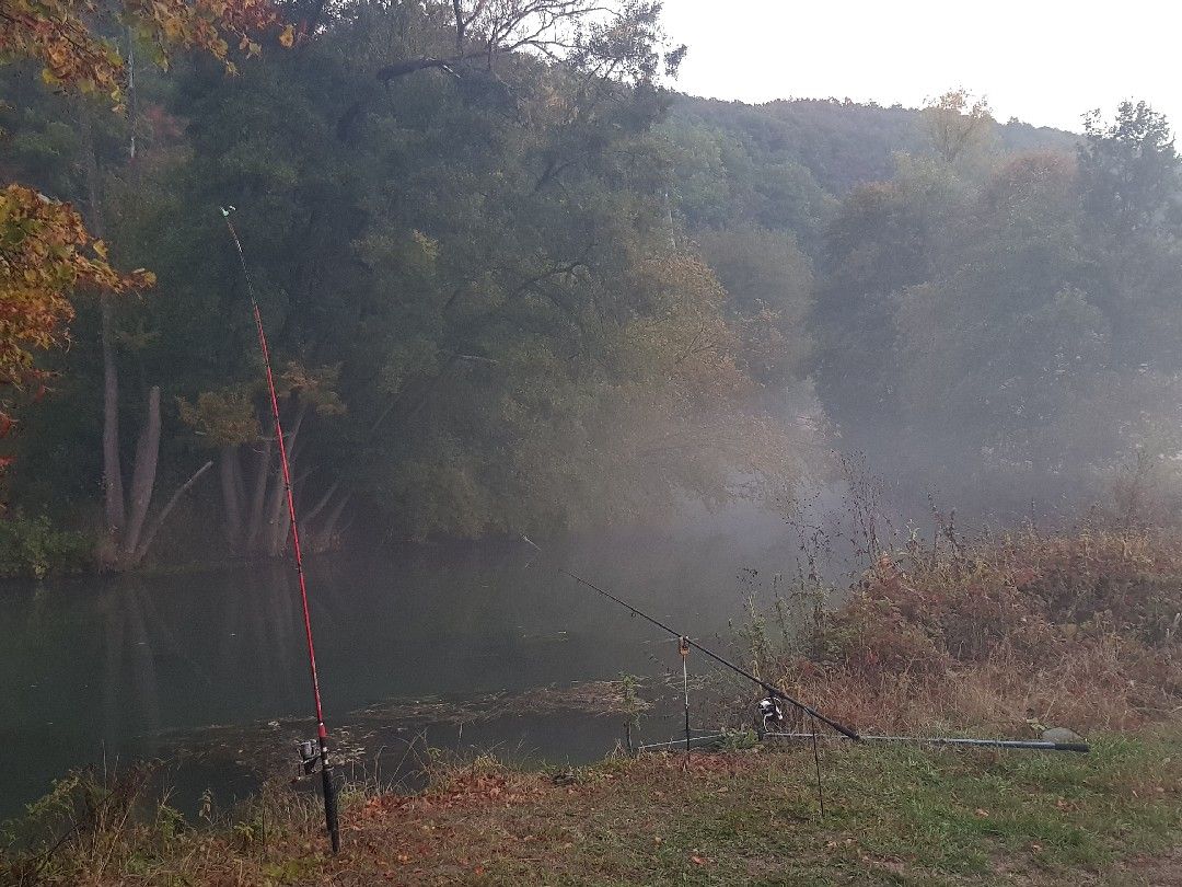 Fränkische Saale (Unterebersbach) angeln